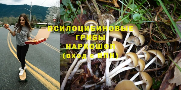 МДПВ Армянск