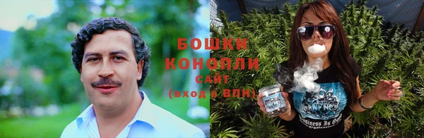 spice Арсеньев