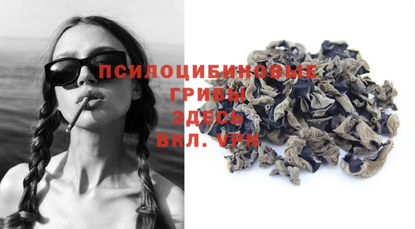 spice Арсеньев