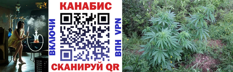 OMG сайт  Богучар  Каннабис White Widow 